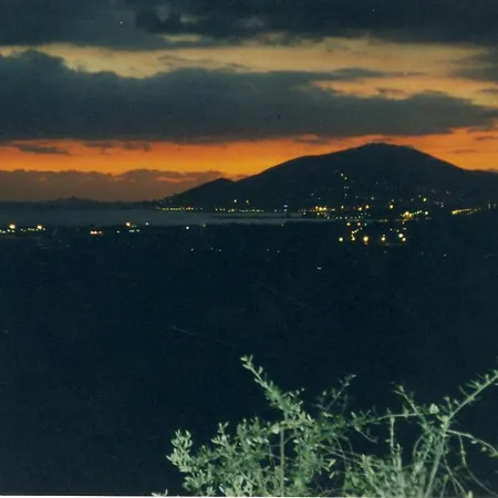 Cursighella Bastelicaccia
