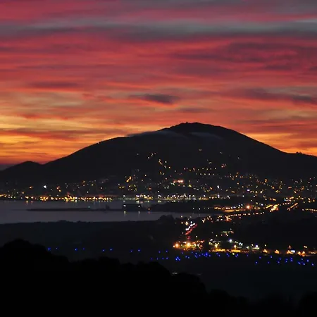 Cursighella *